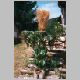 1998-13.html
